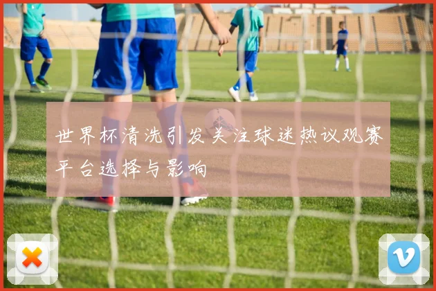 世界杯清洗引发关注球迷热议观赛平台选择与影响