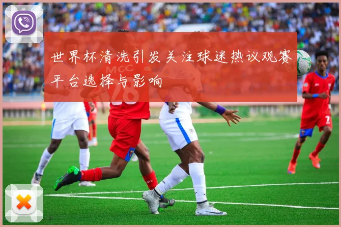 世界杯清洗引发关注球迷热议观赛平台选择与影响