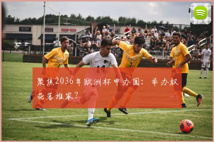 聚焦2036年欧洲杯申办国：举办权花落谁家？